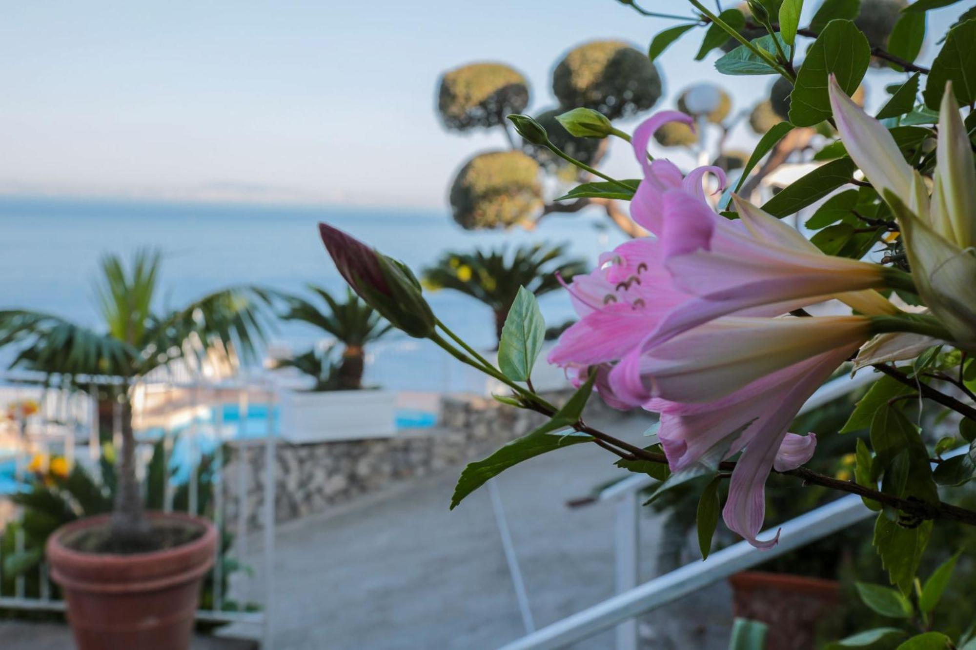 Hotel Villa Lubrense Sorrento マッサ・ルブレンセ エクステリア 写真